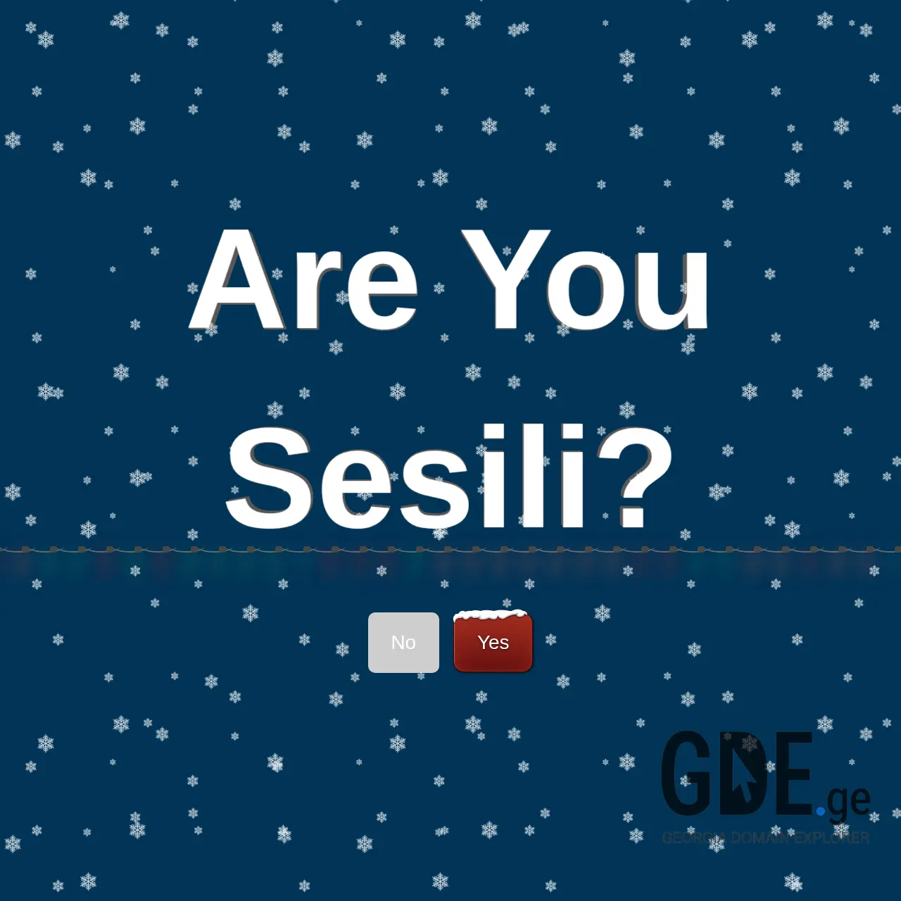 Screenshot of the site sesili.ge at 2025-12-29