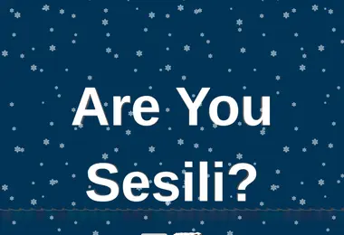 Screenshot of sesili.ge