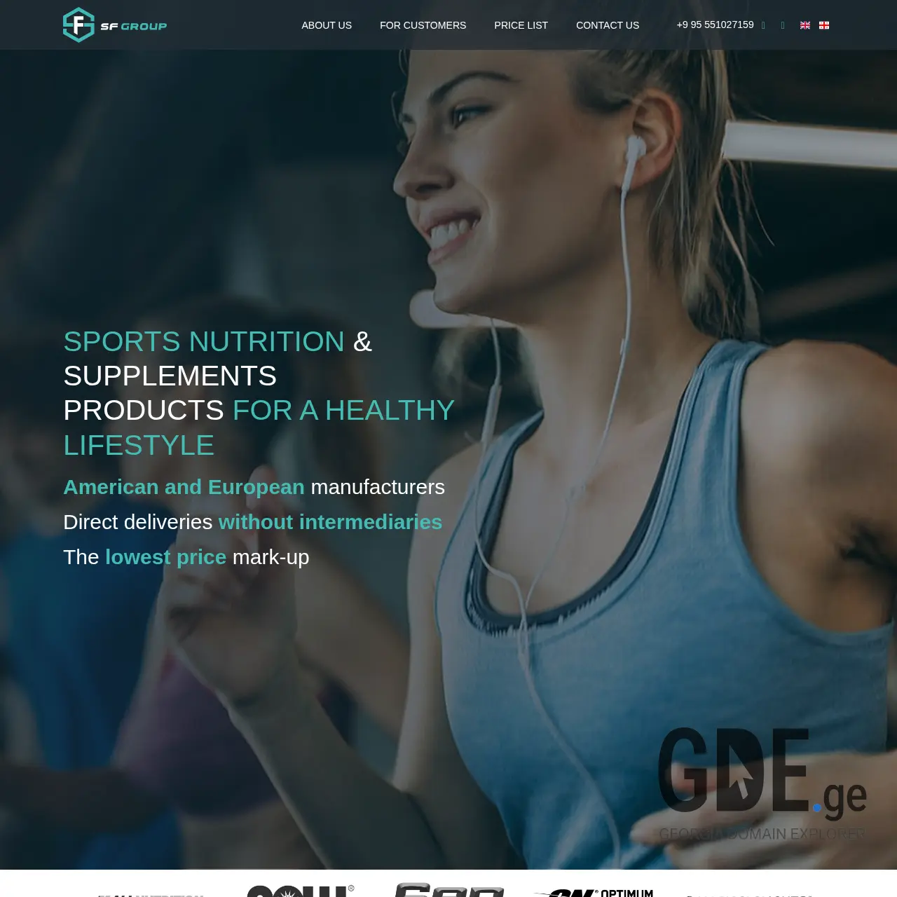 Screenshot of the site sfgroup.ge at 2025-12-11