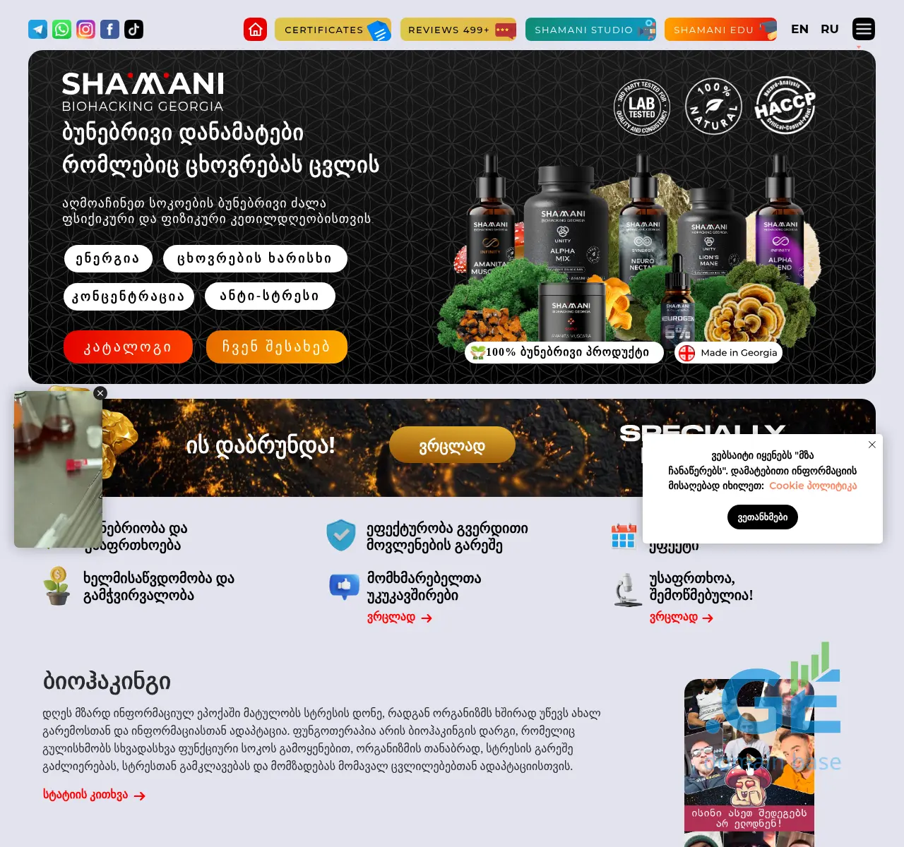Screenshot of the site shamani.ge