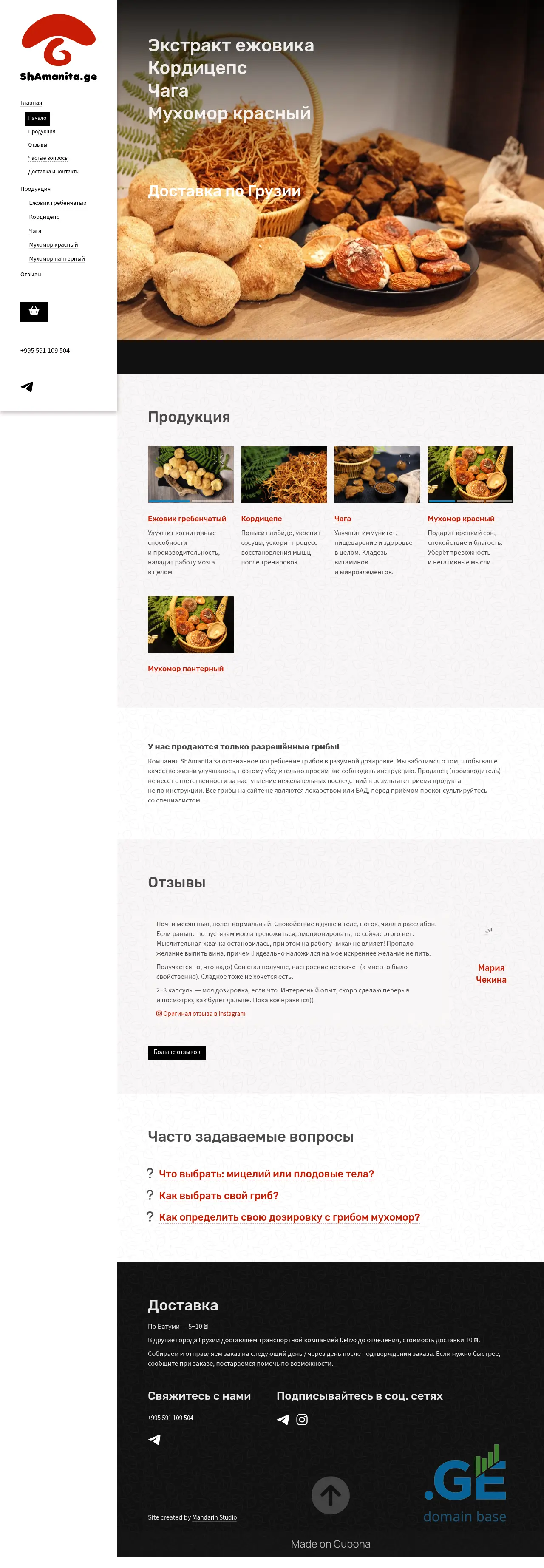 Screenshot of the site shamanita.ge
