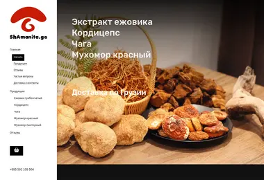 Скриншот shamanita.ge