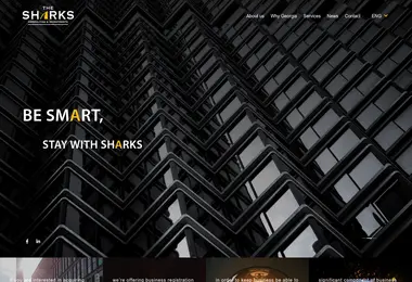sharks.ge-ის ეკრანის სურათი