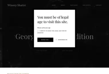 Screenshot of shatiri.ge