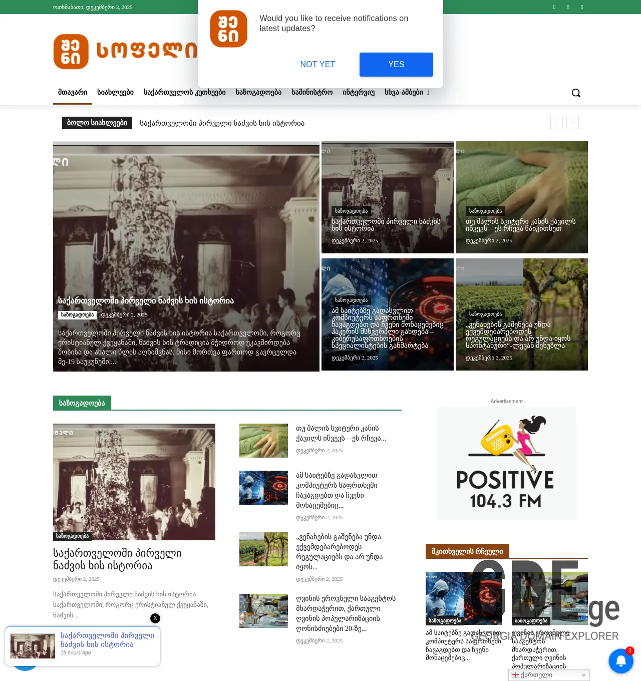 Screenshot of the site shenisofeli.ge at 2025-12-03