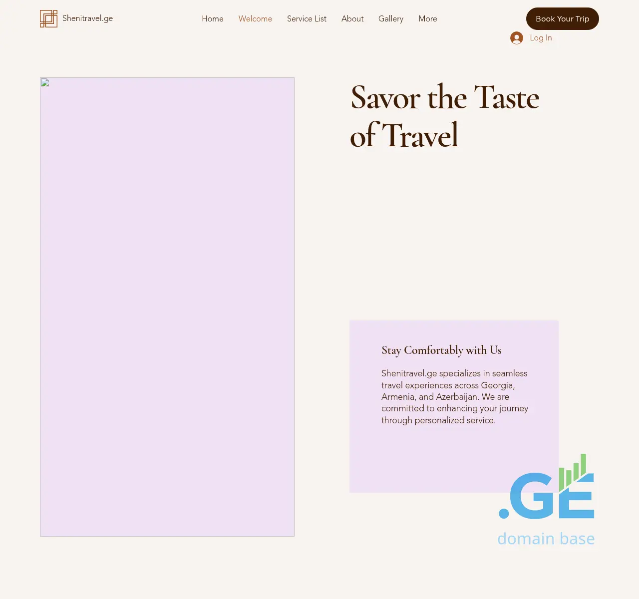 Screenshot of the site shenitravel.ge at 2025-11-11