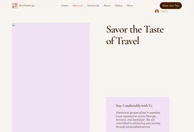 Screenshot of shenitravel.ge