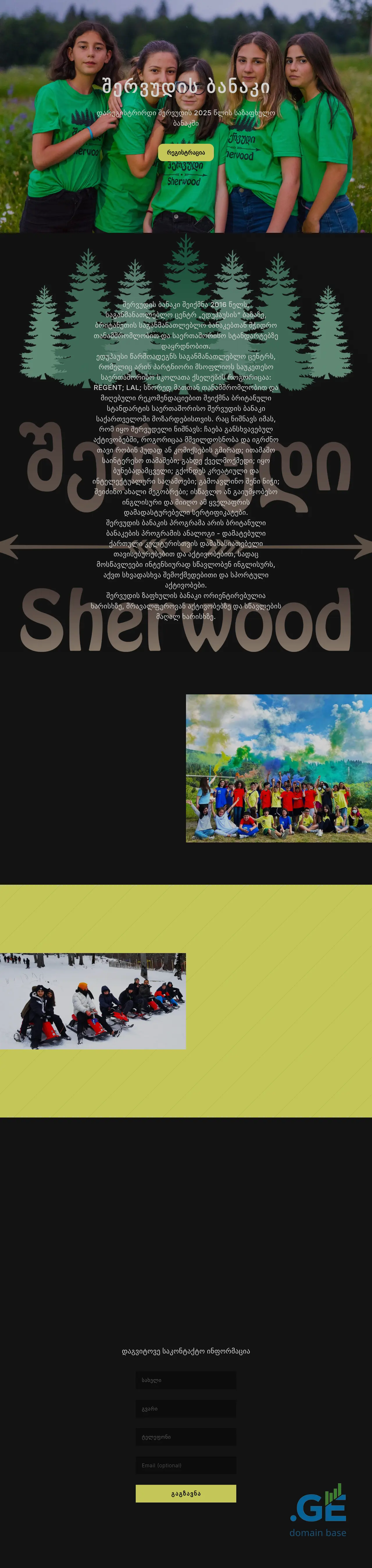 Screenshot of the site sherwood.ge