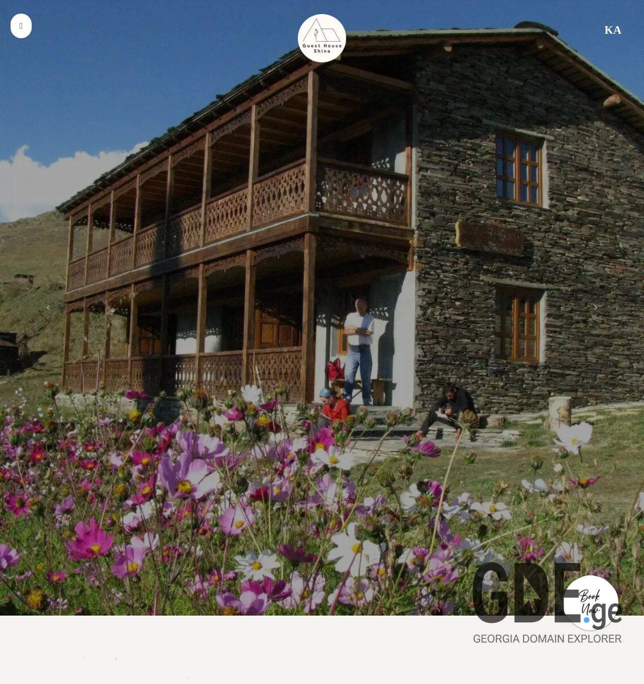 Screenshot of the site shina.ge at 2025-11-29