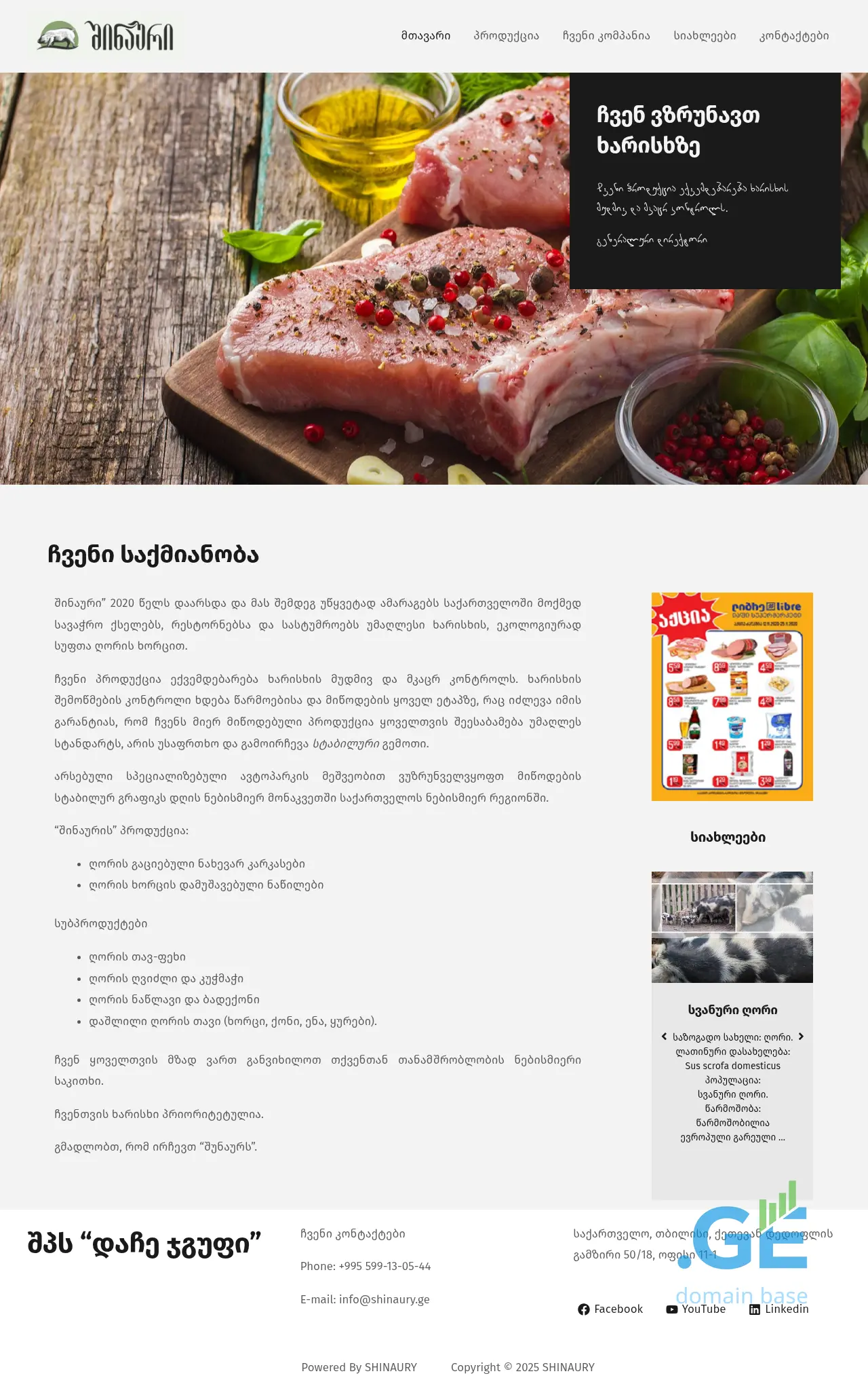 Screenshot of the site shinaury.ge