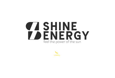 Screenshot of shineenergy.ge