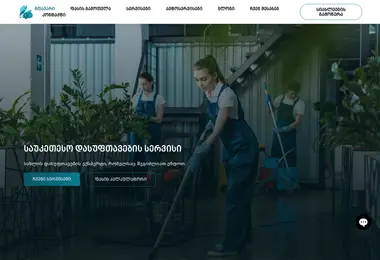 Скриншот shinepro.ge