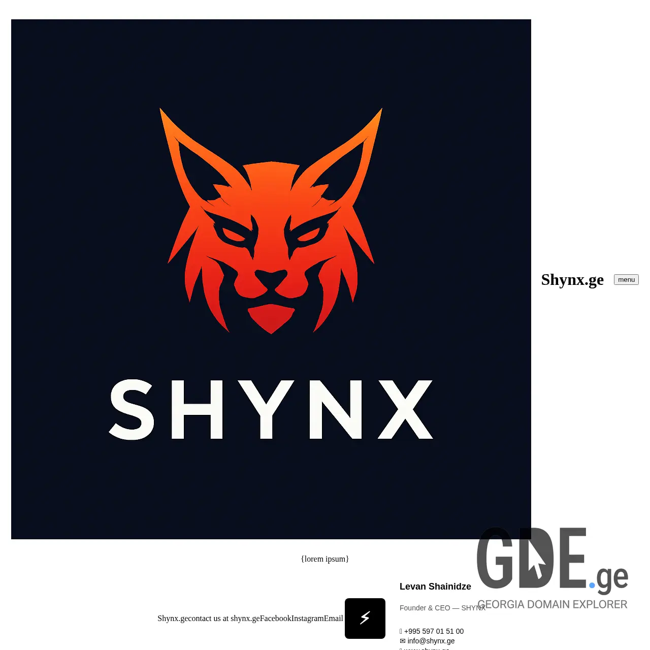 Screenshot of the site shynx.ge at 2025-12-14