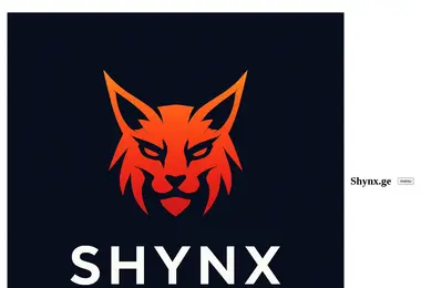 Screenshot of shynx.ge