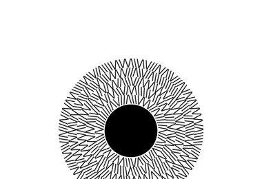 Preview from 11.12.2025