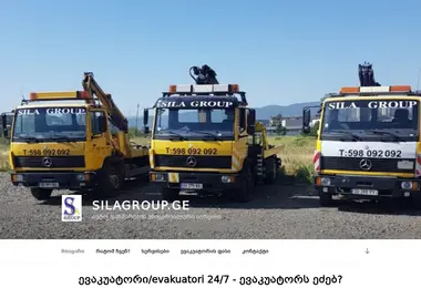 Скриншот silagroup.ge