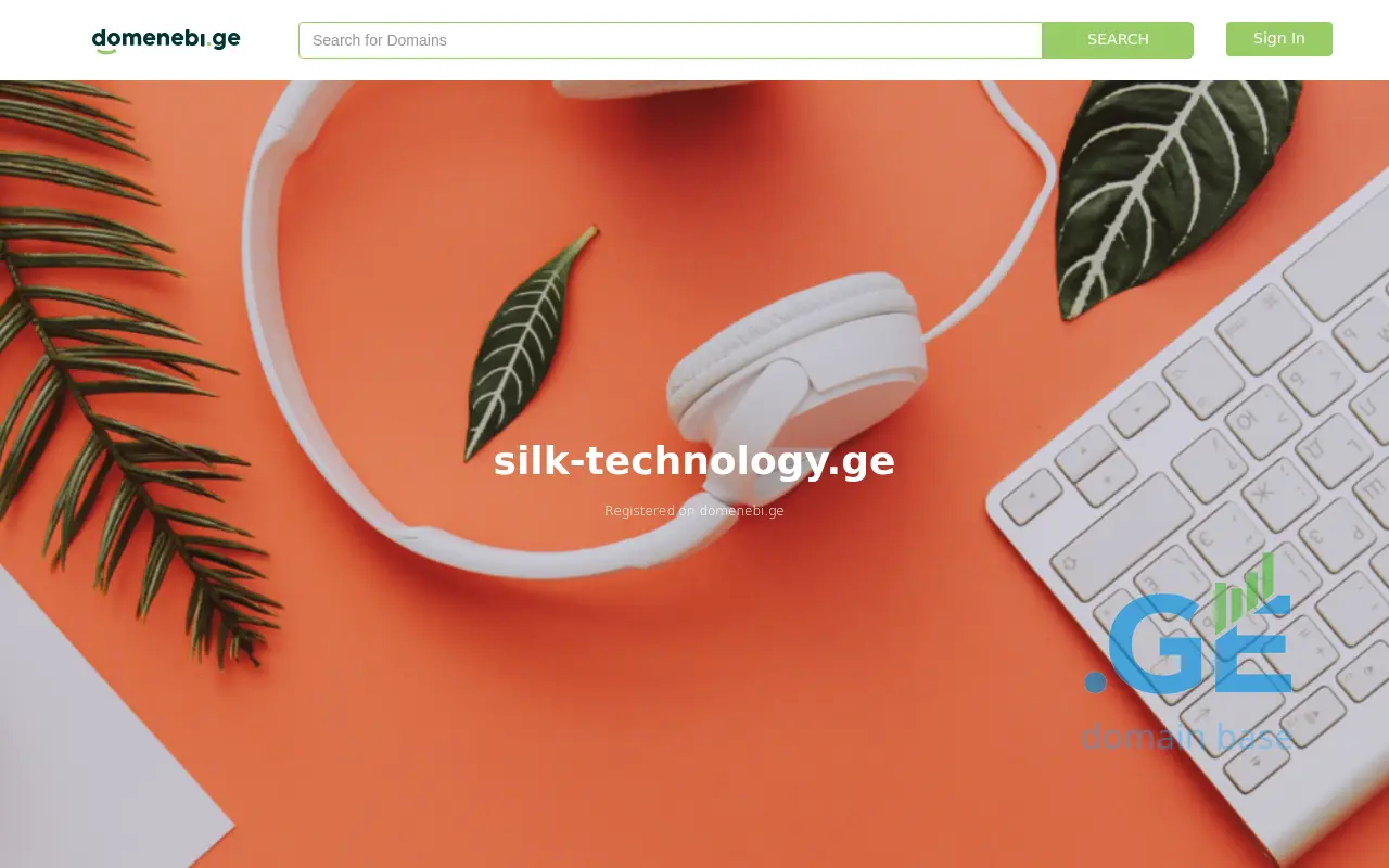 Screenshot of the site silk-technology.ge