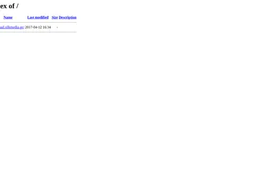 Screenshot of silkmedia.ge