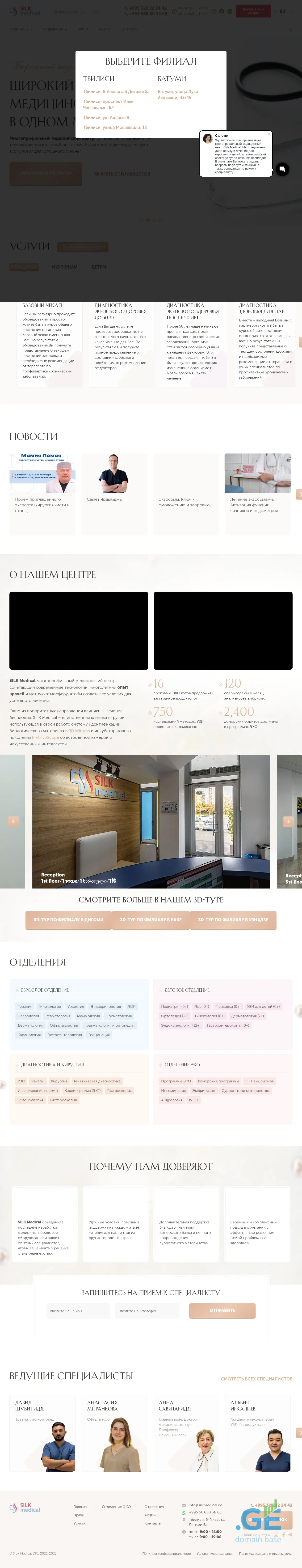 Screenshot of the site silkmedical.ge