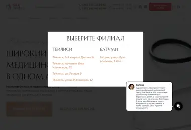 Screenshot of silkmedical.ge