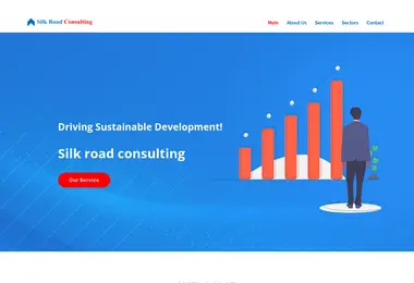 Screenshot of silkroadconsulting.ge