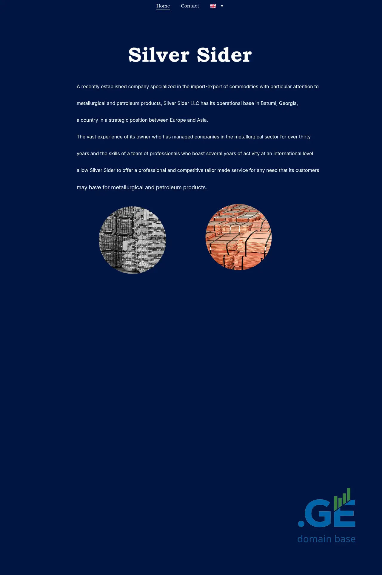 Screenshot of the site silversider.ge
