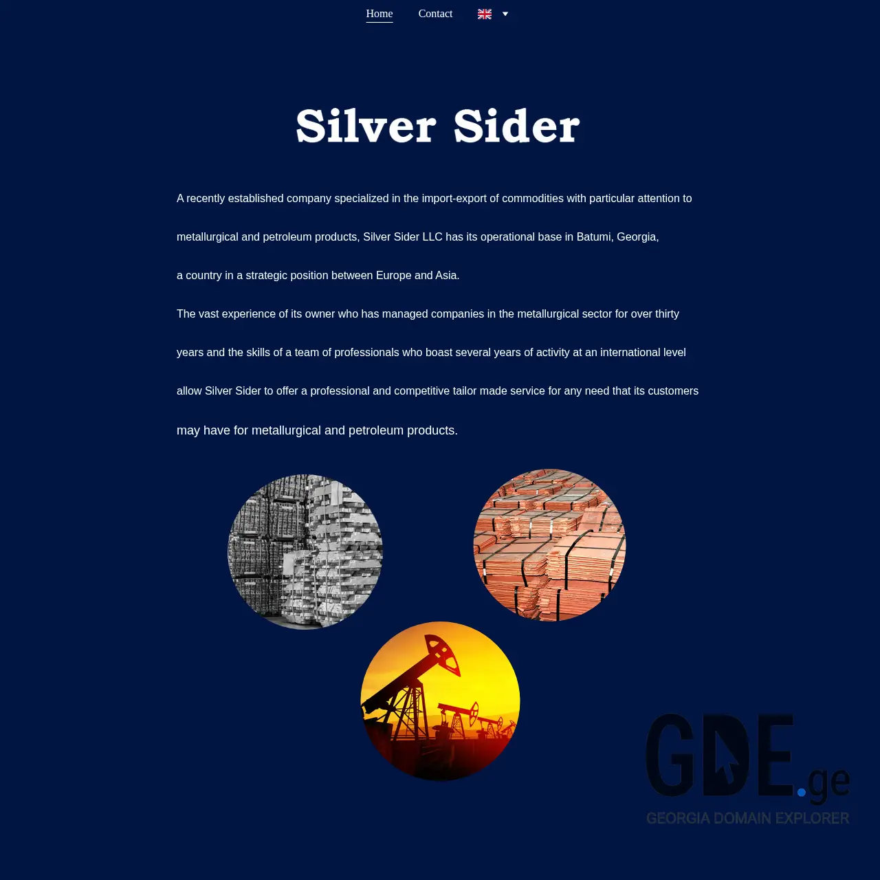 Screenshot of the site silversider.ge at 2025-12-11