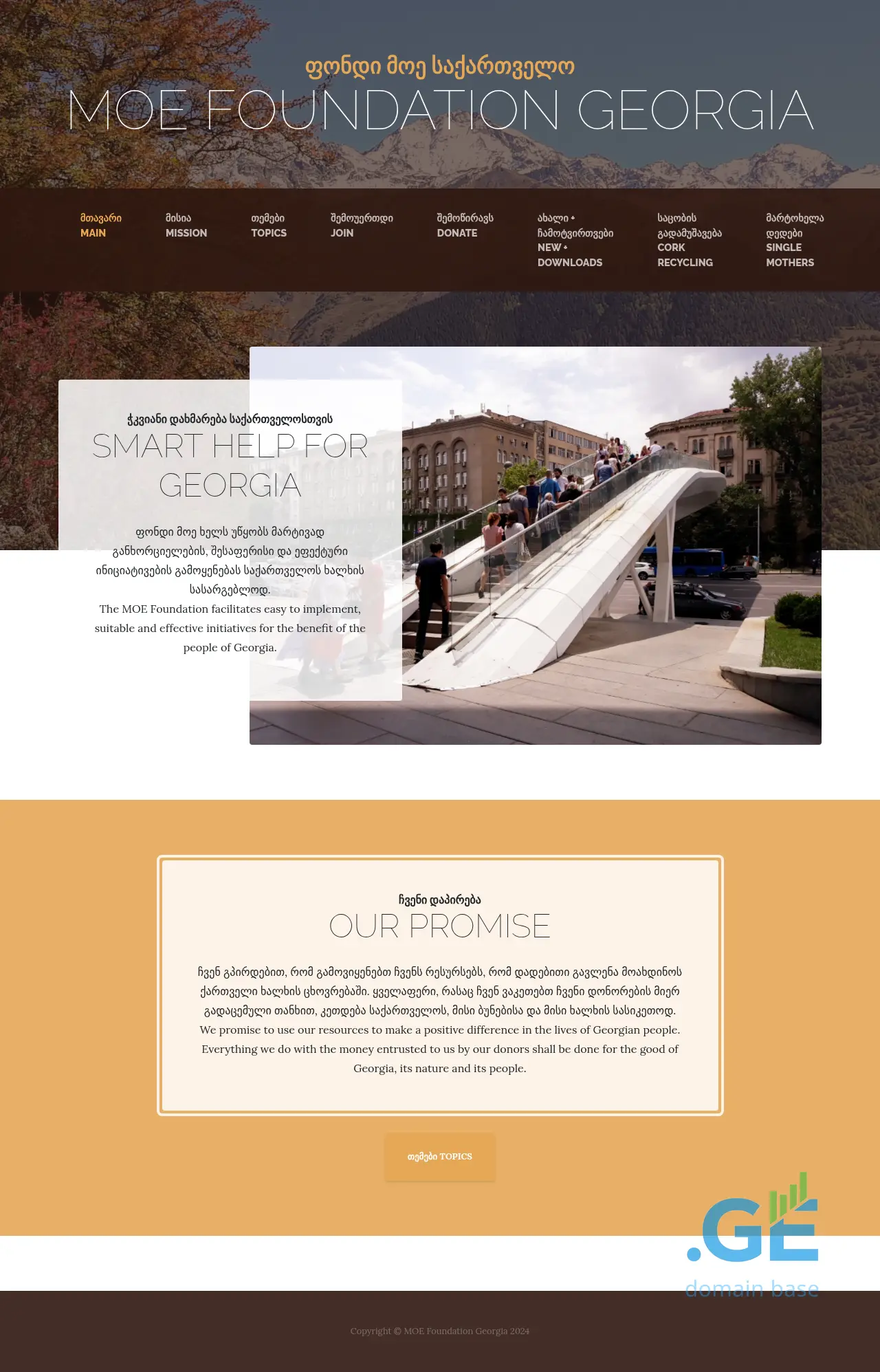 Screenshot of the site singlemothers.ge