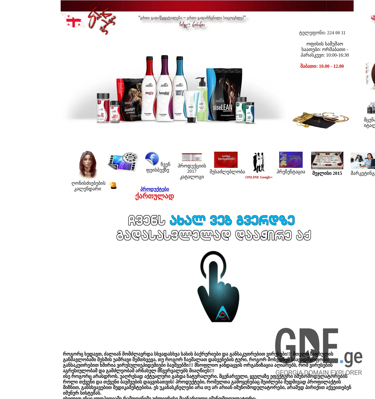 Screenshot of the site sisel.com.ge at 2025-12-01