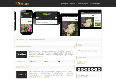 sites.ge-ის ეკრანის სურათი