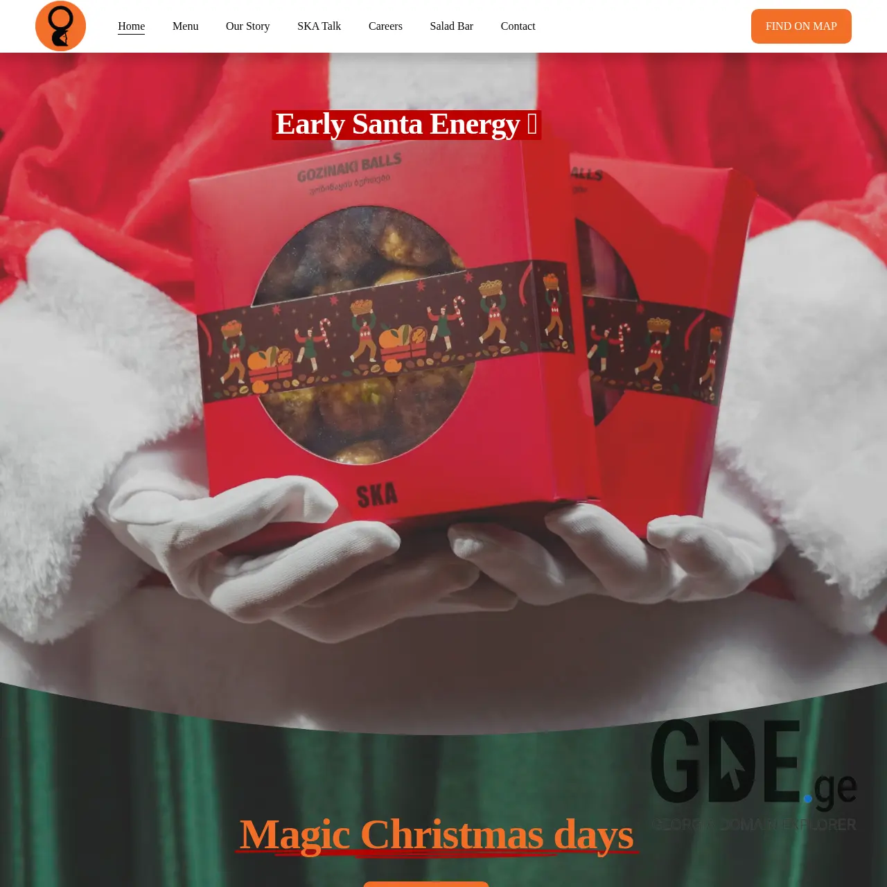 Screenshot of the site skagroup.ge at 2025-12-11