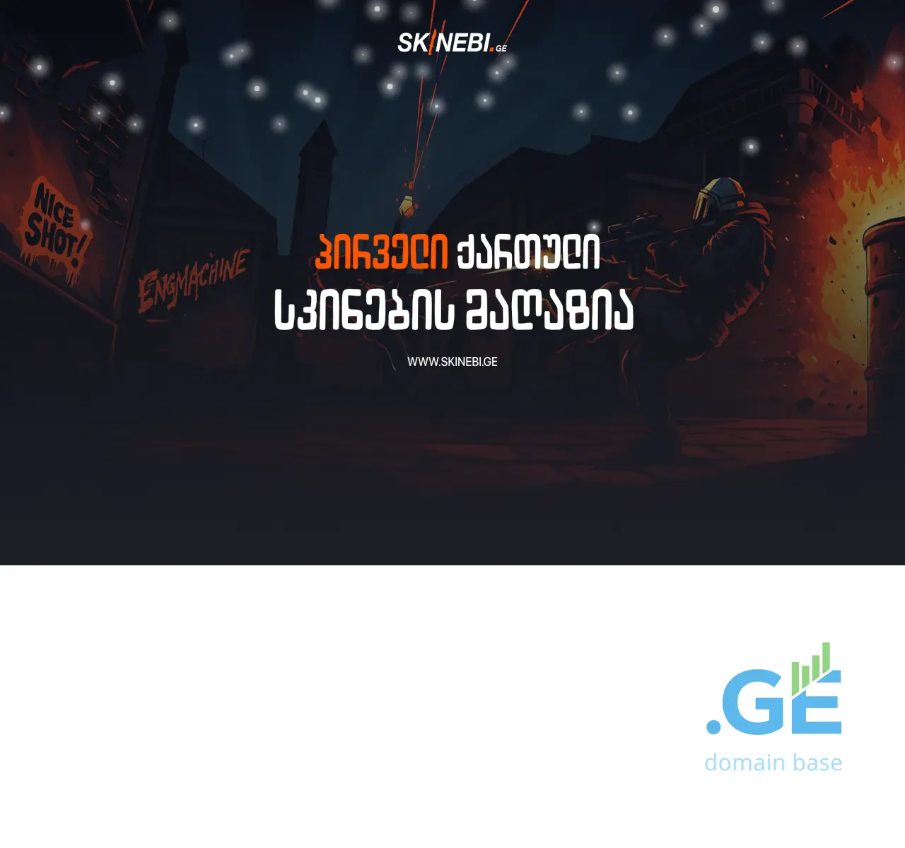 Screenshot of the site skinebi.ge at 2025-11-02