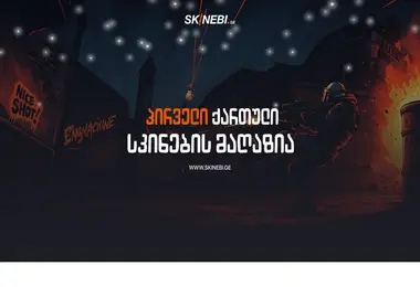 Screenshot of skinebi.ge
