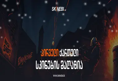 Screenshot of skinebi.ge