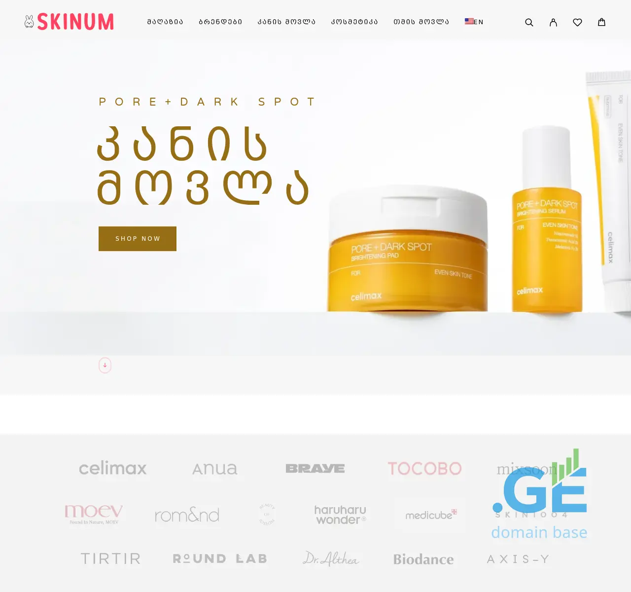 Screenshot of the site skinum.ge at 2025-10-26