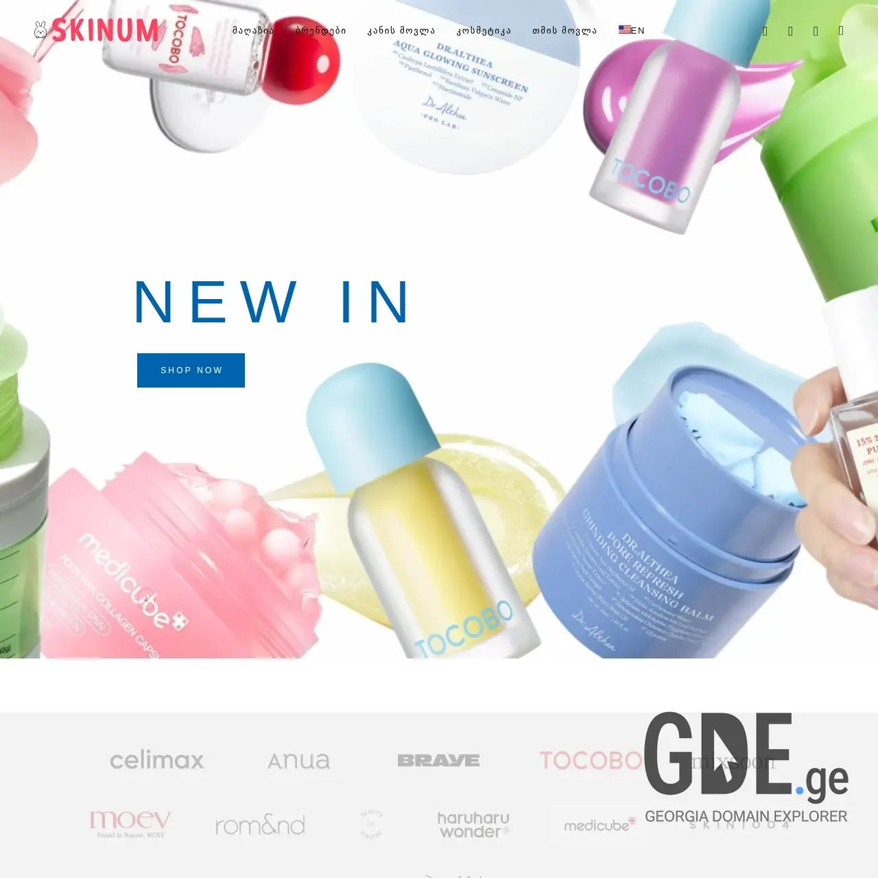 Screenshot of the site skinum.ge at 2025-12-15