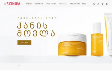 Screenshot of skinum.ge