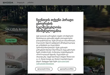 სურათი 29.11.2025-დან