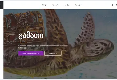 Screenshot of skudeto.ge