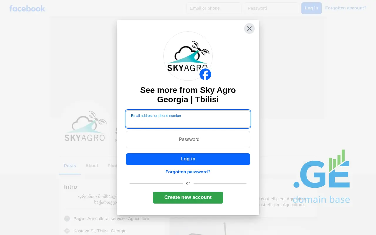 Screenshot of the site skyagro.ge
