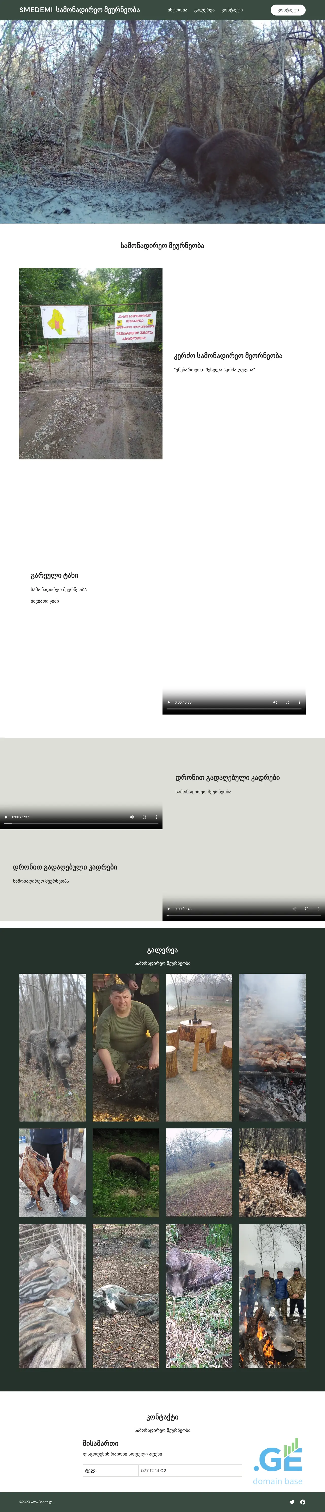 Screenshot of the site smedemi.ge