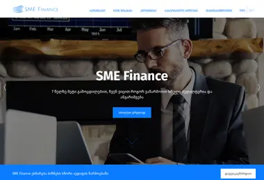 Screenshot of smefinance.ge