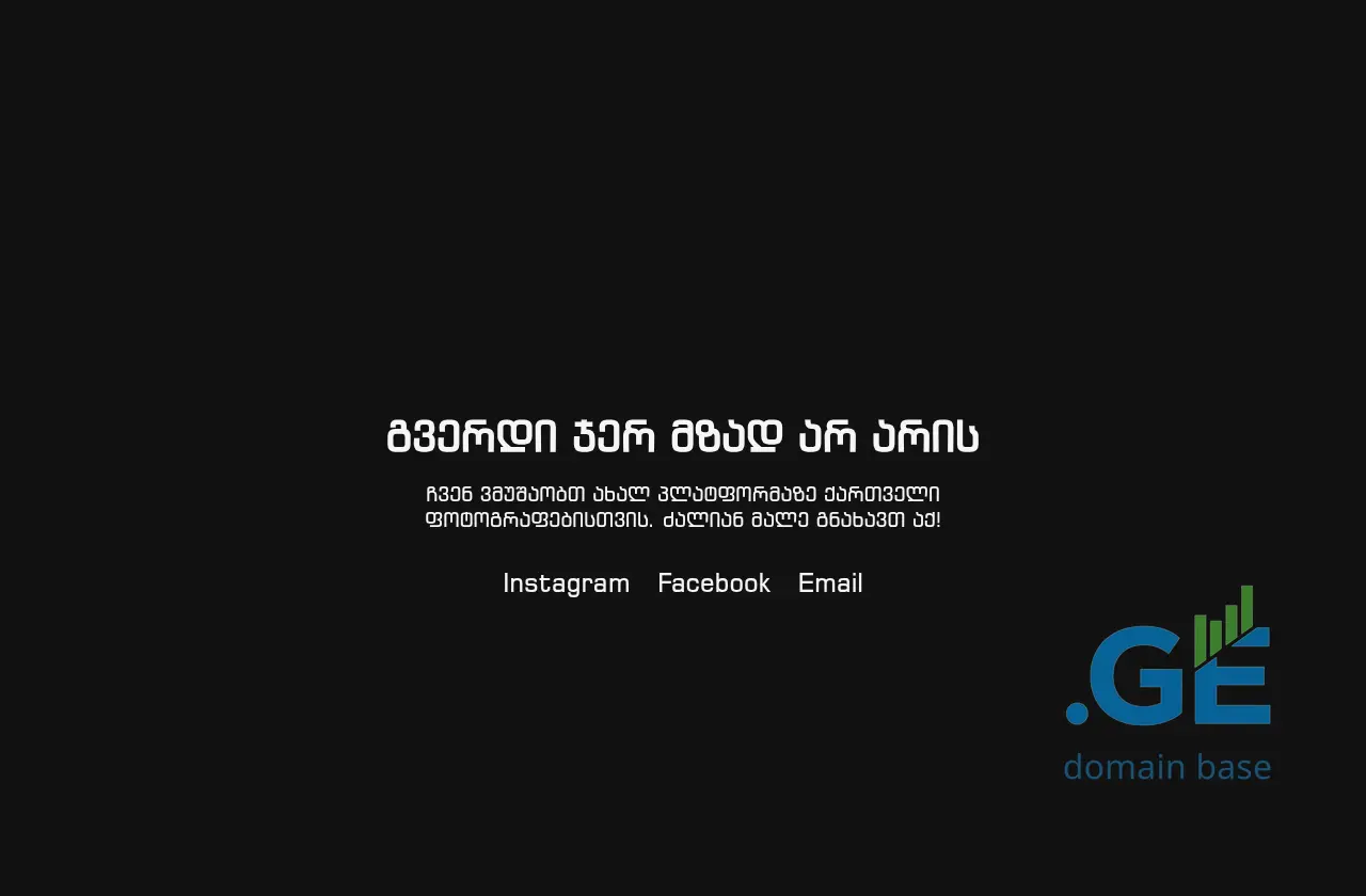 Screenshot of the site snapshot.ge