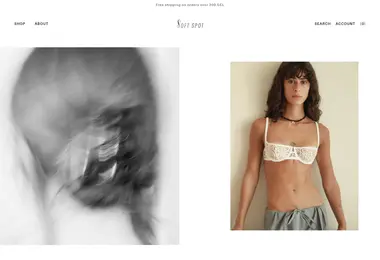 Screenshot of softspot.ge