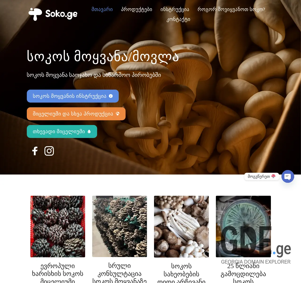 Screenshot of the site soko.ge at 2025-11-26