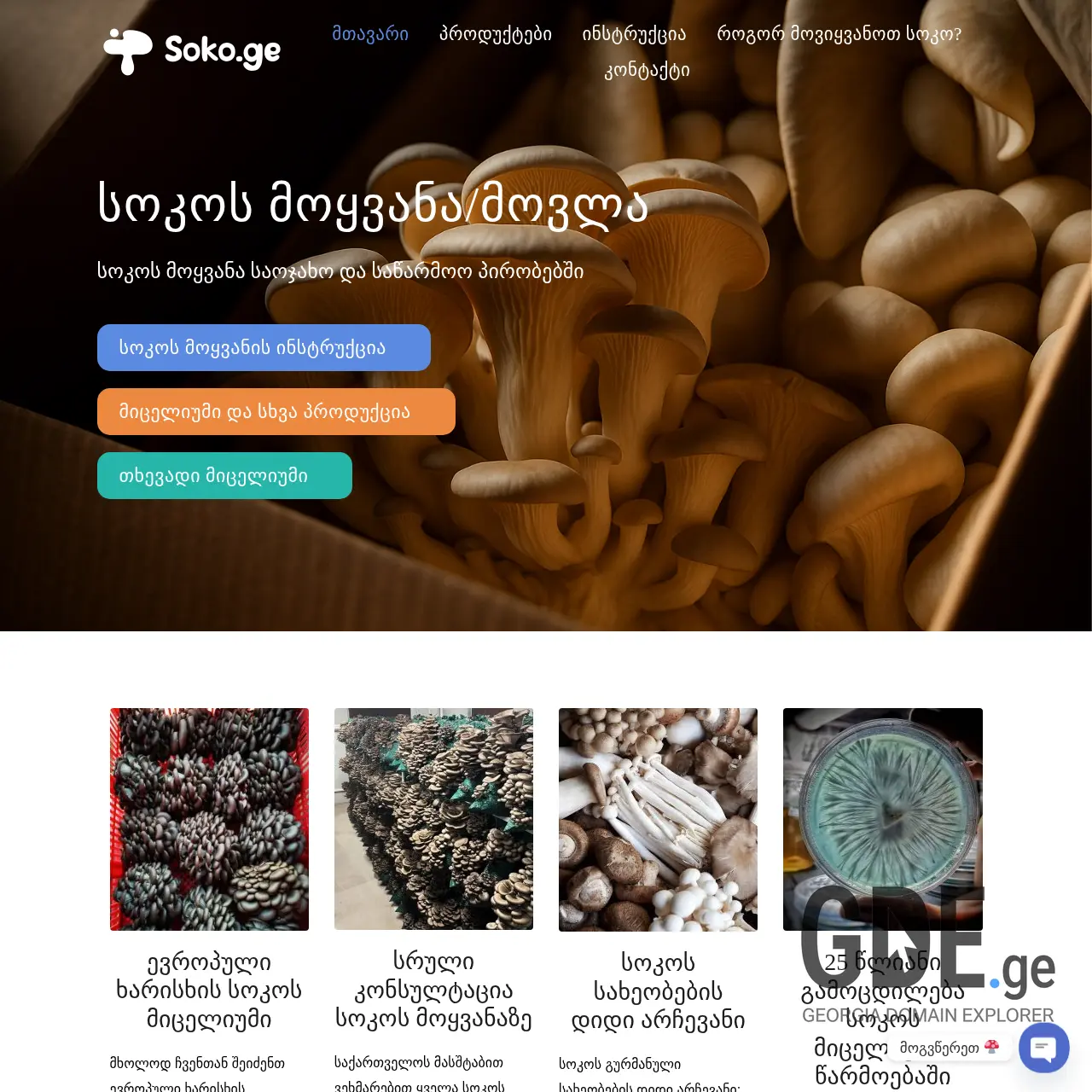 Screenshot of the site soko.ge at 2025-12-18