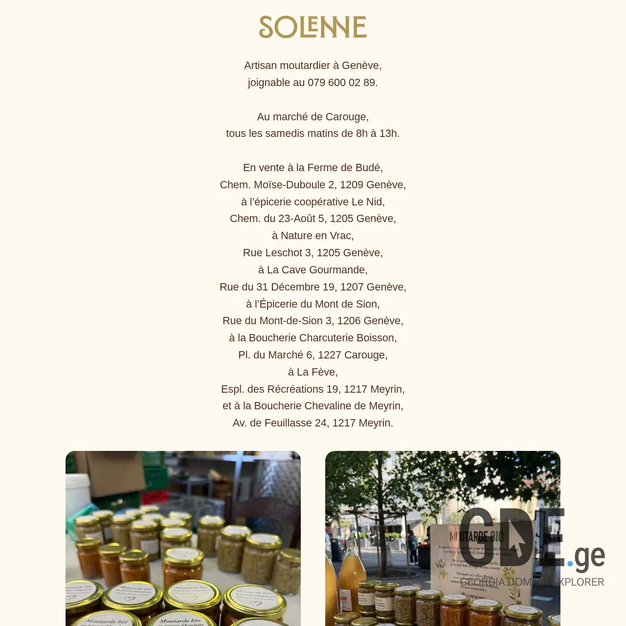 Screenshot of the site solenne.ge at 2025-12-13