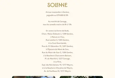 Скриншот solenne.ge