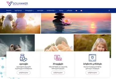 Screenshot of solviner.ge
