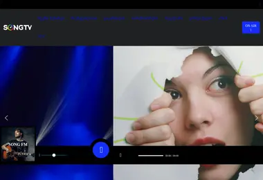 Скриншот songtv.ge